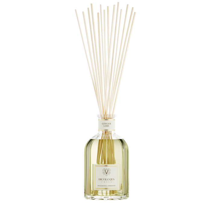 DR VRANGES - GINGER LIME REED DIFFUSER